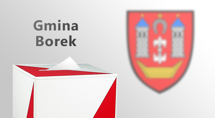 Wybory samorządowe w Borku Wielkopolskim